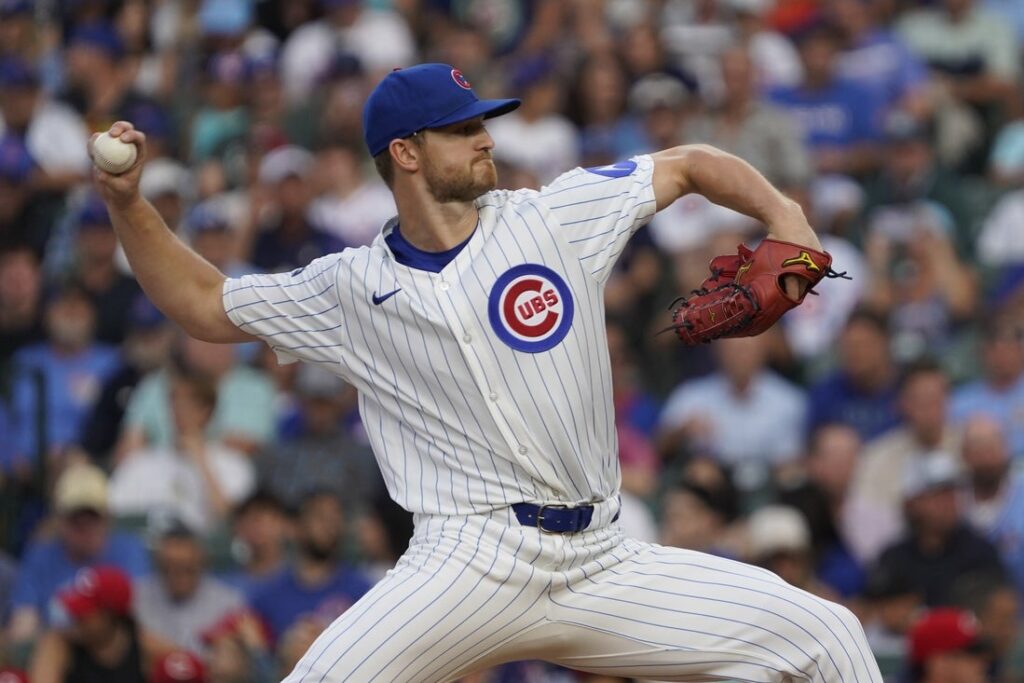 Cubs, Michael Soroka,