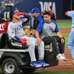 Amaya, Cubs, jays