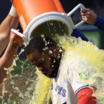 toronto blue jays