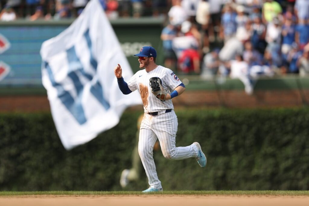 cubs