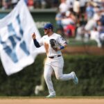 cubs