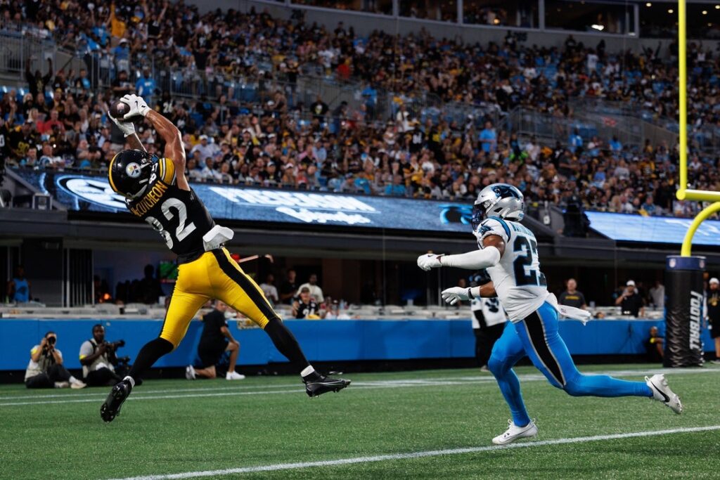 Panthers, Steelers