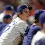 Carson Williams, Rays, Cardinals