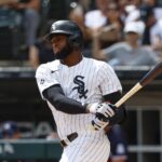 luis robert jr.