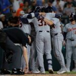 Detroit Tigers