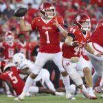 Houston cougars