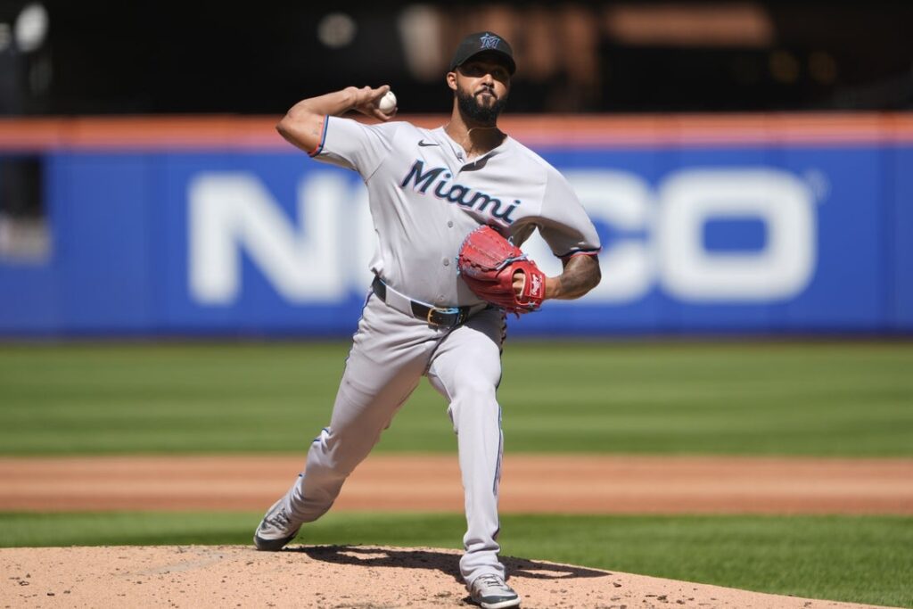 sandy alcantara
