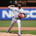 sandy alcantara