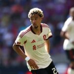 Liverpool, Hugo Ekitike, Crystal Palace, Premier League, Community Shield