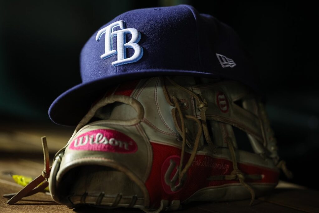 tampa bay rays hat