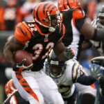 rudi johnson bengals 2006