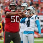 vita vea