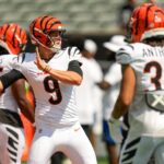 Joe Burrow