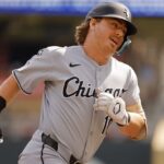 white sox