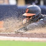 orioles