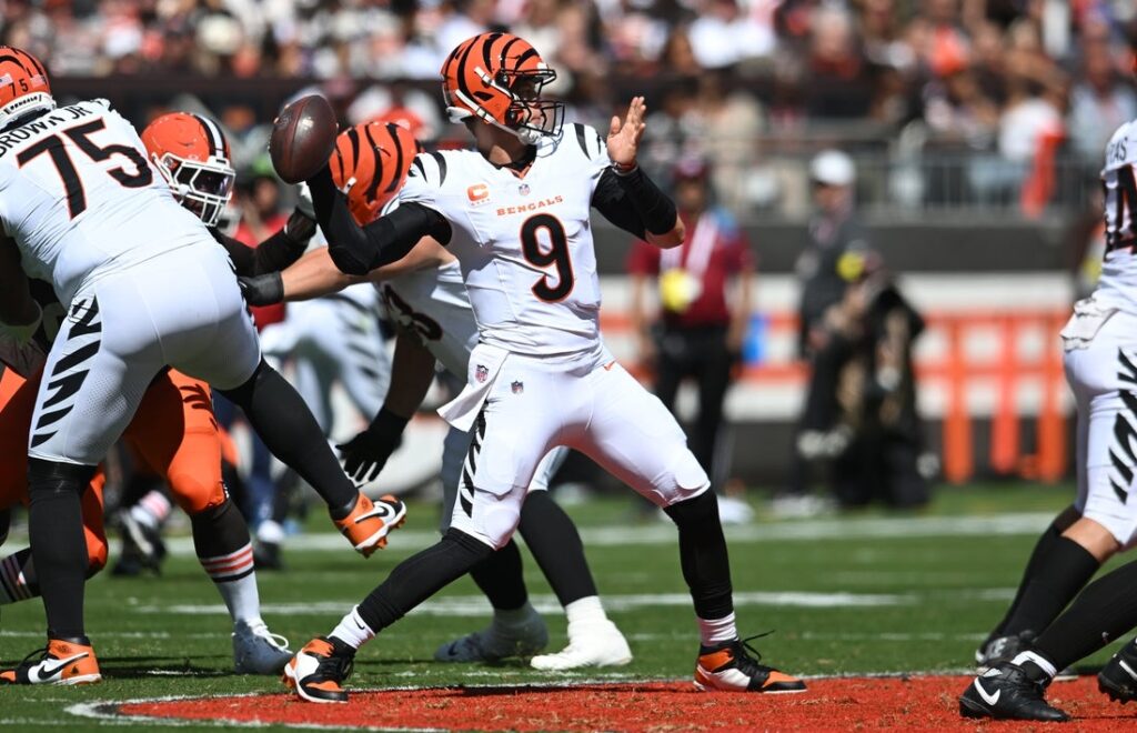 bengals