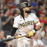 fernando tatis