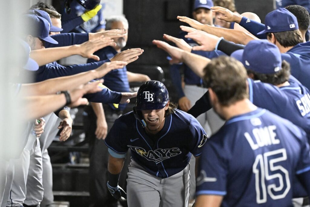 rays white sox