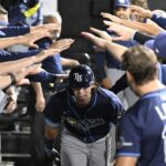 rays white sox