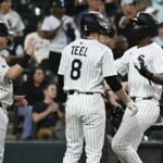 rays, white sox