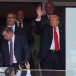 donald trump, yankees