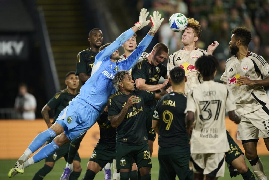 Red Bulls, Timbers