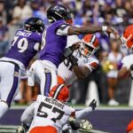 ravens