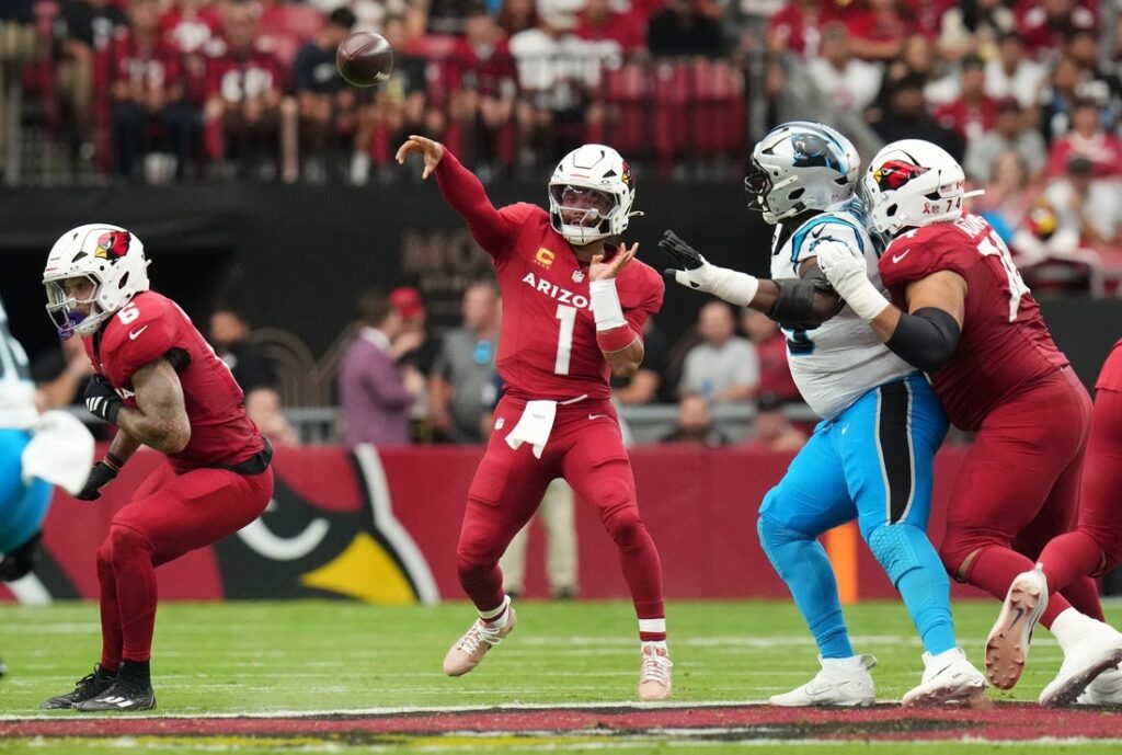 arizona cardinals