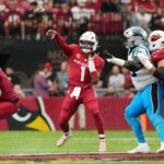 arizona cardinals
