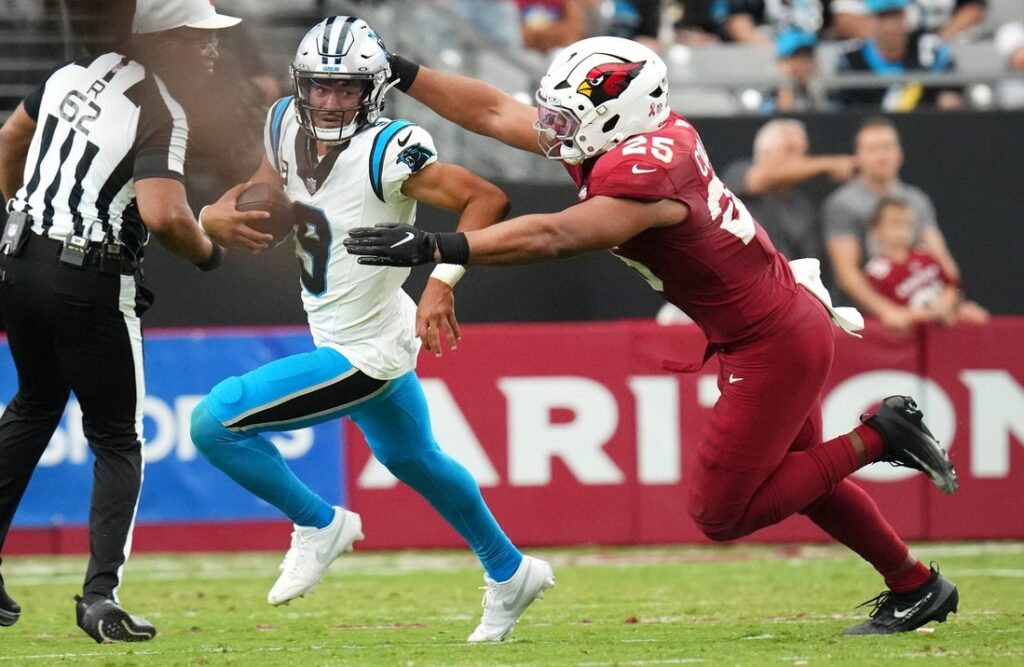 panthers, cardinals