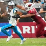panthers, cardinals