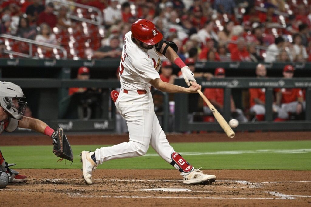 Cardinals, saggese