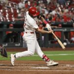 Cardinals, saggese