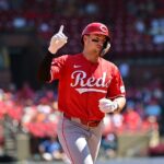 reds cardinals