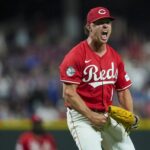 cubs, reds