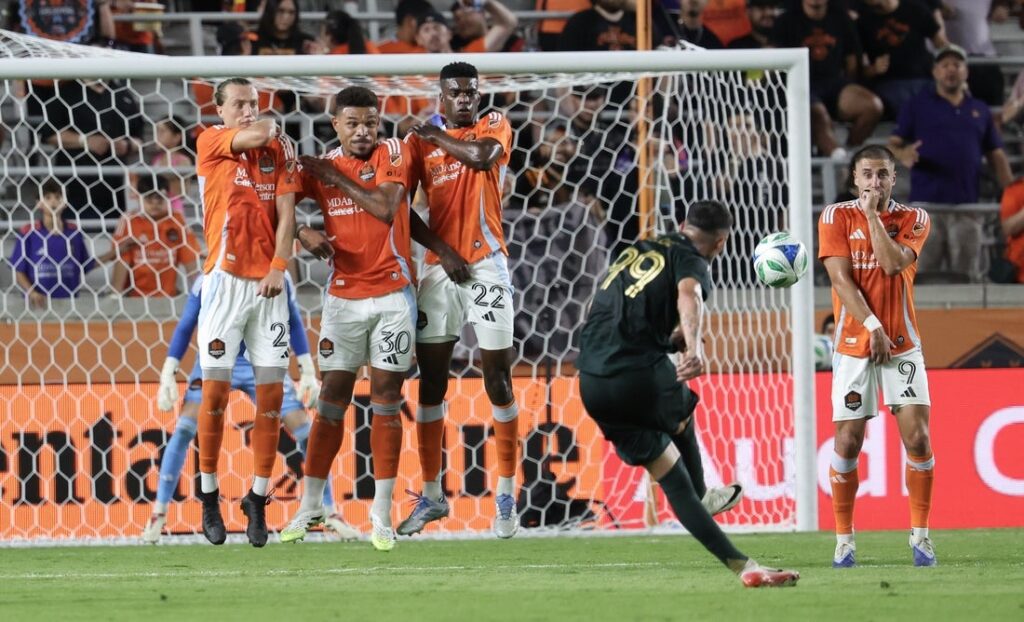 dynamo timbers