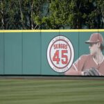 tyler skaggs