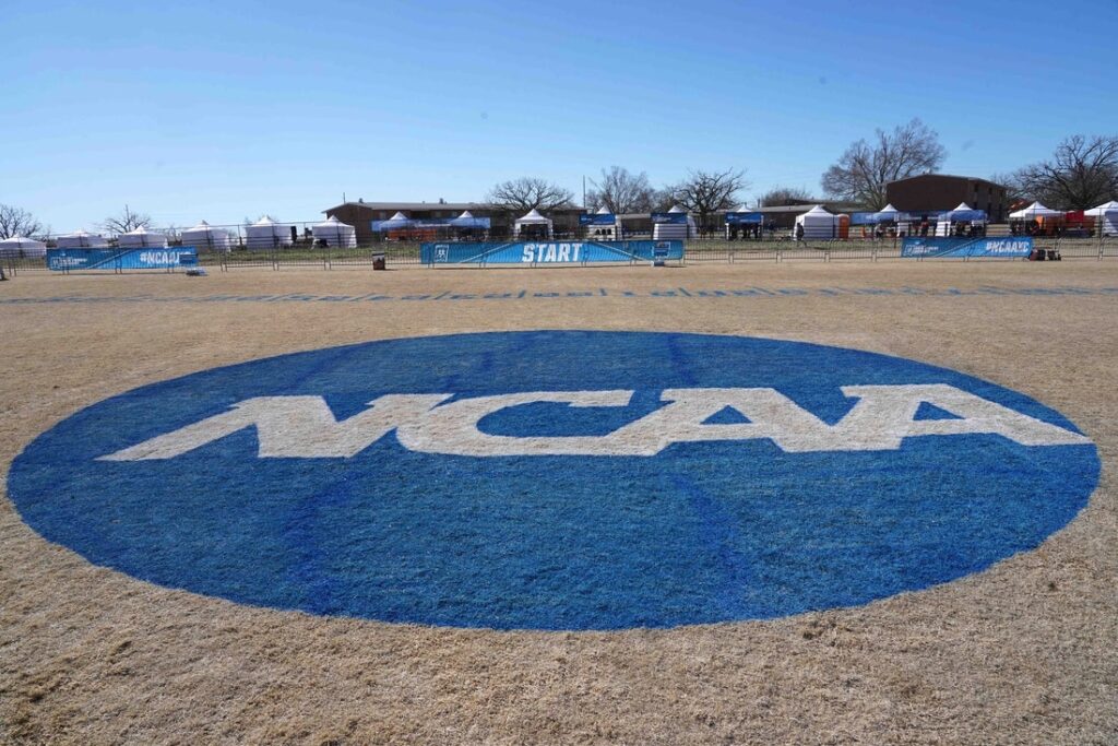 NCAA Division I logo