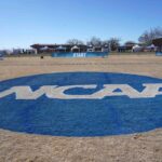 NCAA Division I logo
