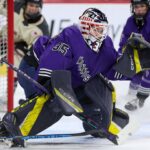 pwhl minnesota