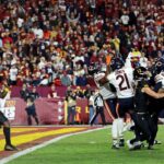 bears, commanders