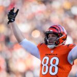 bengals gesicki 2024 paycor