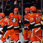 Ducks, Penguins