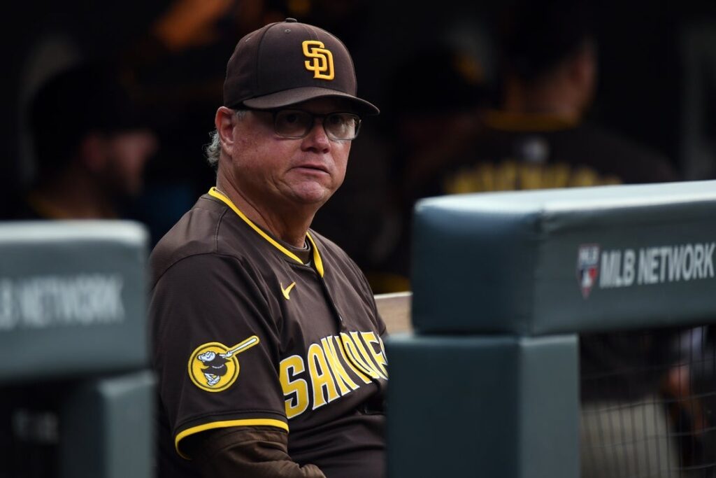 Mike Shildt