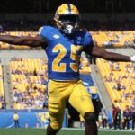 pittsburgh panthers