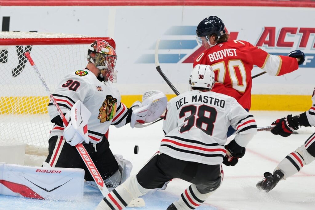 Florida Panthers