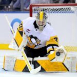 pittsburgh penguins