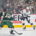 Wild, Kings
