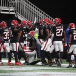 atlanta falcons defense