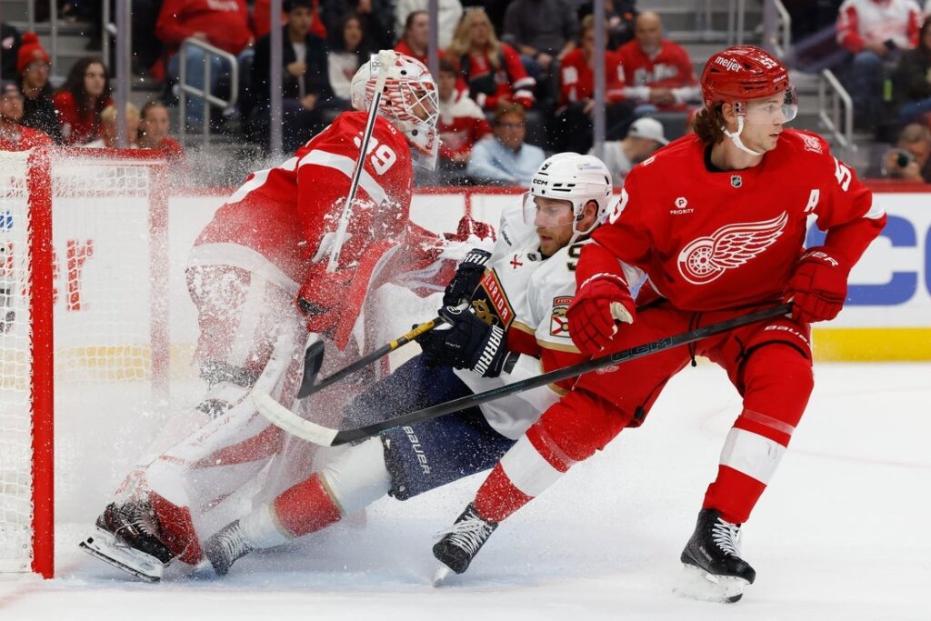 Panthers, Red Wings